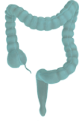 liver-tumor Disease icon 1