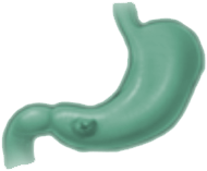 GIST Disease icon 2